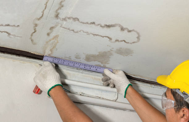 Reliable Flood Cleanup contractor in Manchester, MI by Water Damage Irwin